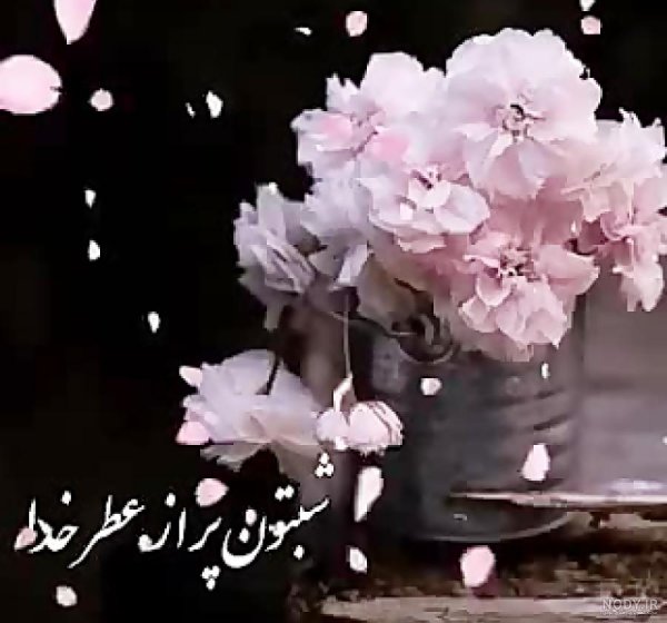 عکس شب بخیر کیوت