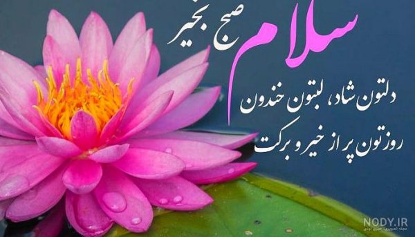 عکس شب بخیر کیوت