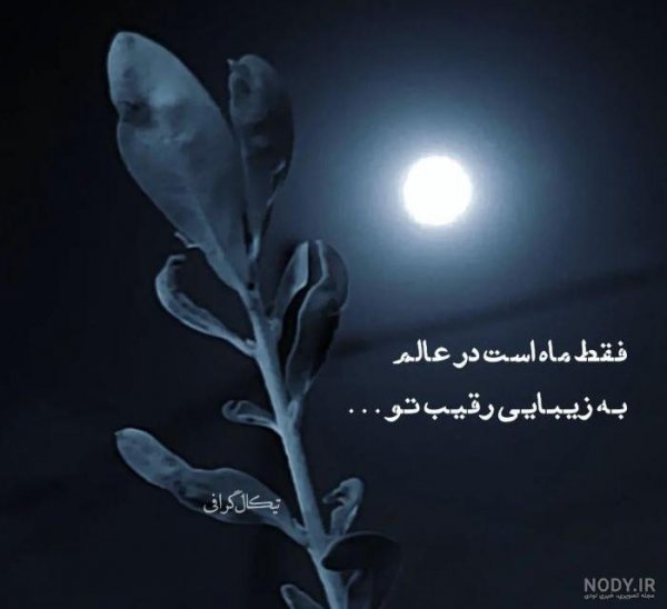 عکس شب بخیر کیوت