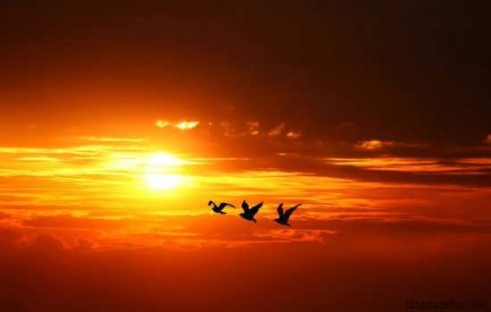 عکس رمانتیک غروب برای تصویر زمینه