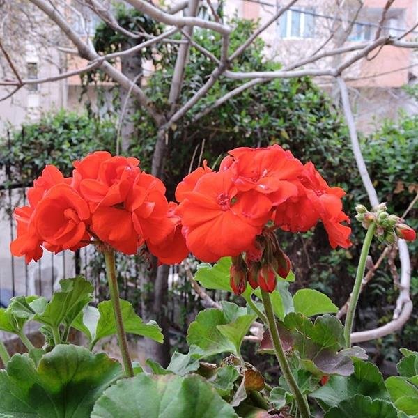 نقاشی منظره رمانتیک بهاری