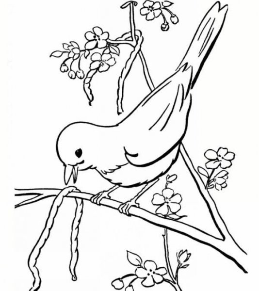 نقاشی بهار در خانه