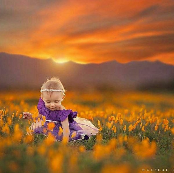  نقاشی منظره طبیعت