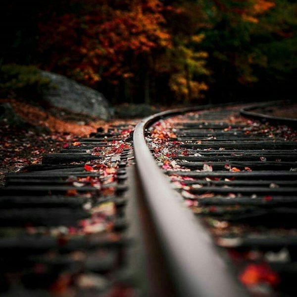  نقاشی منظره طبیعت