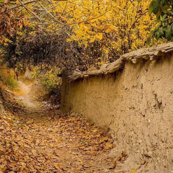  نقاشی منظره طبیعت