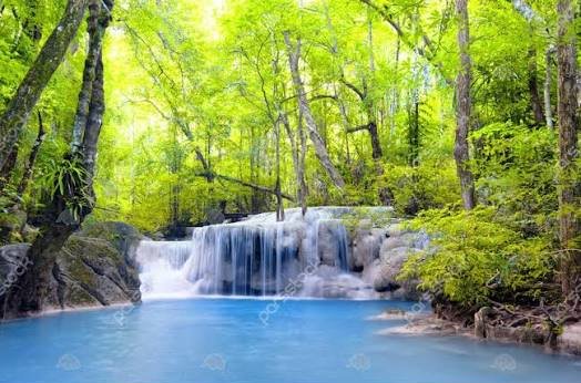  عکس آبشار طبیعی در جنگل سبز برای تصویر زمینه