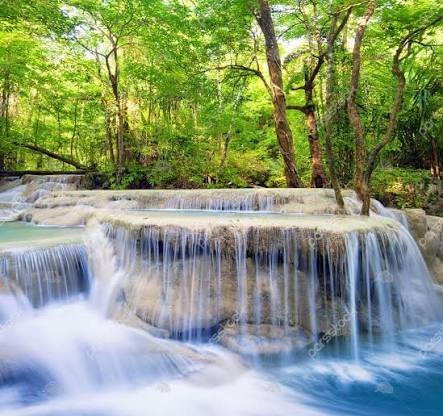  عکس آبشار طبیعی در جنگل سبز برای تصویر زمینه