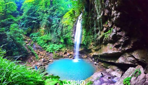  عکس آبشار طبیعی در جنگل سبز برای تصویر زمینه