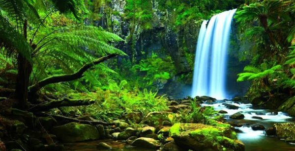  عکس آبشار طبیعی در جنگل سبز برای تصویر زمینه
