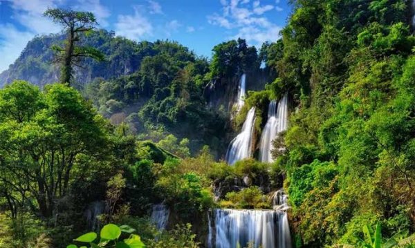  عکس آبشار طبیعی در جنگل سبز برای تصویر زمینه