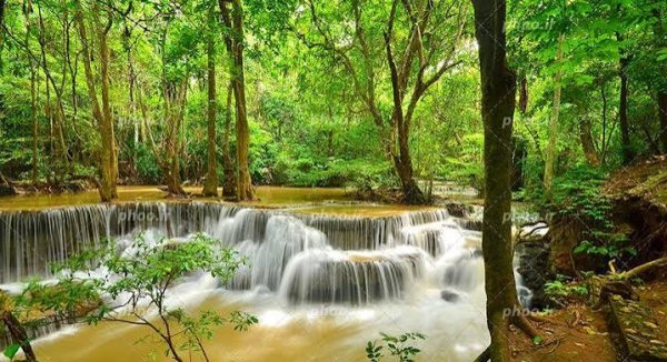  عکس آبشار طبیعی در جنگل سبز برای تصویر زمینه