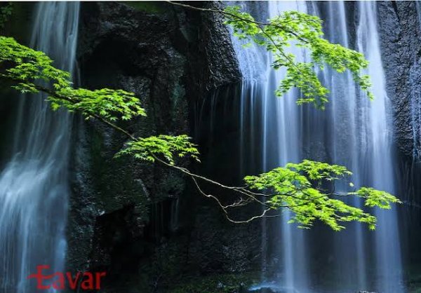  عکس آبشار طبیعی در جنگل سبز برای تصویر زمینه