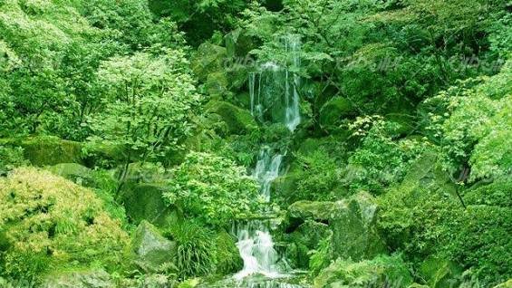  عکس آبشار طبیعی در جنگل سبز برای تصویر زمینه