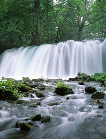  عکس آبشار طبیعی در جنگل سبز برای تصویر زمینه