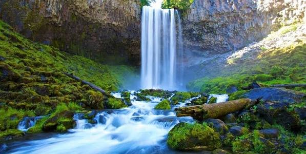  عکس آبشار طبیعی در جنگل سبز برای تصویر زمینه