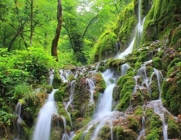  عکس آبشار طبیعی در جنگل سبز برای تصویر زمینه