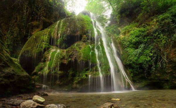  عکس آبشار طبیعی در جنگل سبز برای تصویر زمینه