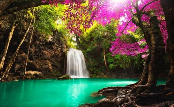  عکس آبشار طبیعی در جنگل سبز برای تصویر زمینه