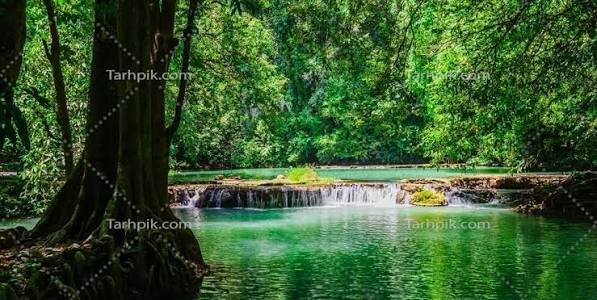  عکس آبشار طبیعی در جنگل سبز برای تصویر زمینه