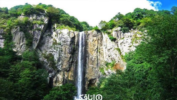  عکس آبشار طبیعی در جنگل سبز برای تصویر زمینه