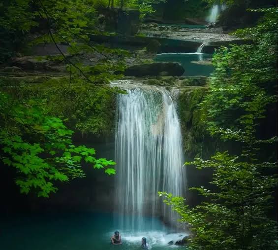  عکس آبشار طبیعی در جنگل سبز برای تصویر زمینه