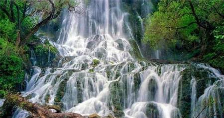  عکس آبشار طبیعی در جنگل سبز برای تصویر زمینه