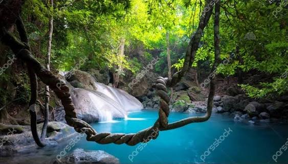  عکس آبشار طبیعی در جنگل سبز برای تصویر زمینه