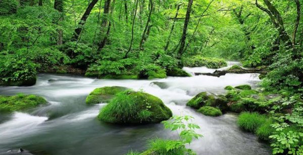  عکس آبشار طبیعی در جنگل سبز برای تصویر زمینه