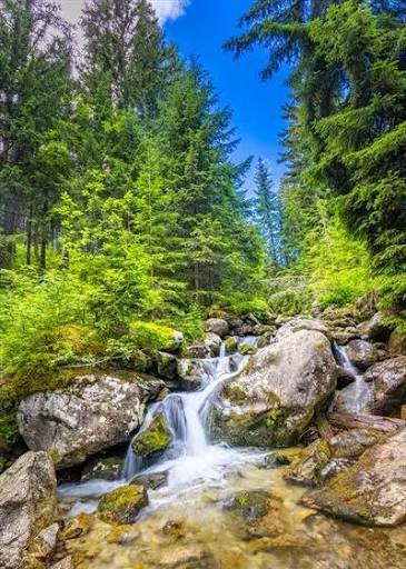  عکس آبشار طبیعی در جنگل سبز برای تصویر زمینه