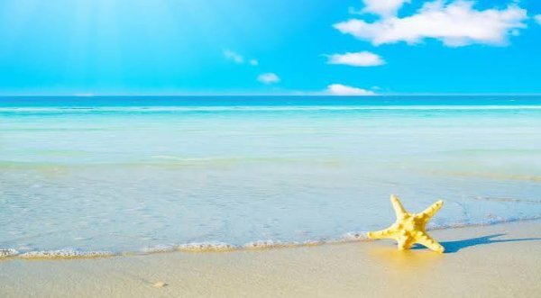  بک گراند ساحل دریا برای فتوشاپ