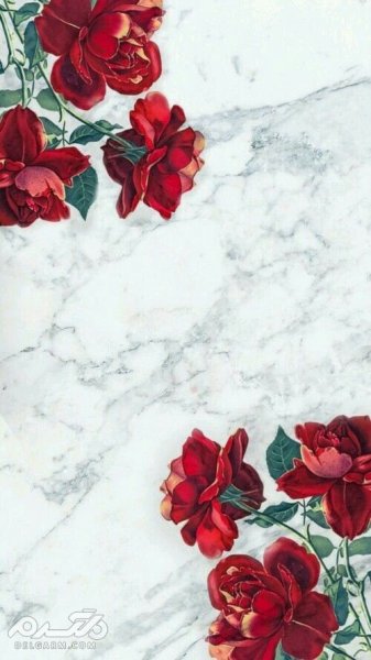  تصویر زمینه گوشی آیفون