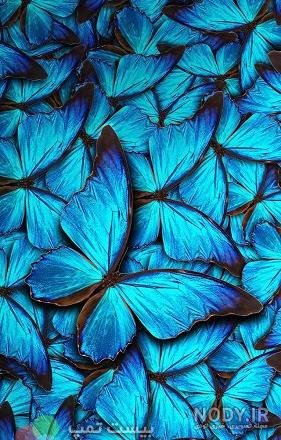  بک گراند گوشی آیفون با کیفیت بالا