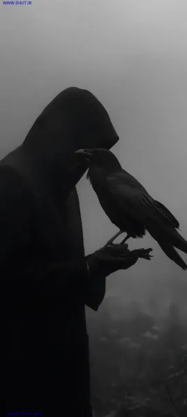  عکس شوالیه غمگین