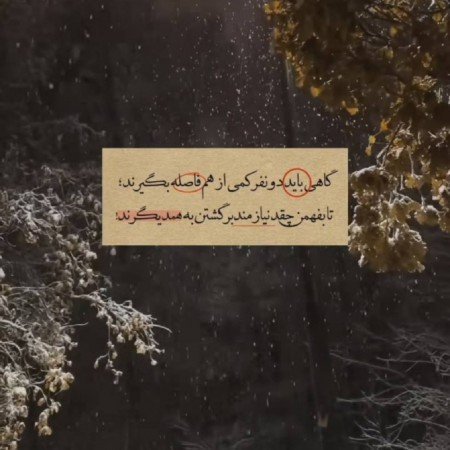  پروفایل شوالیه و پرنسس