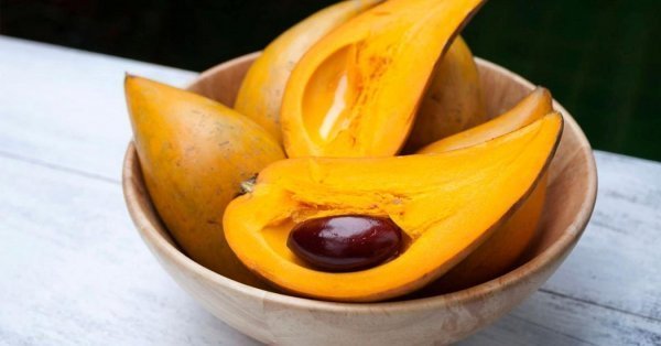  عکس پاپایا میوه استوایی با کیفیت بالا