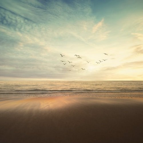  عکس ساحل مواج و خوشگل دریا