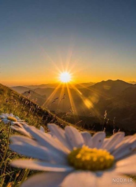 پس زمینه غروب زیبای آفتاب کنار ساحل با کیفیت اچ دی