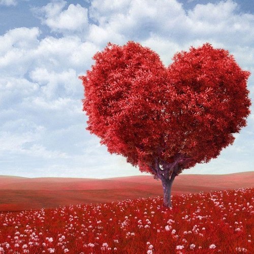 تصاویر عاشقانه واقعی برای پروفایل