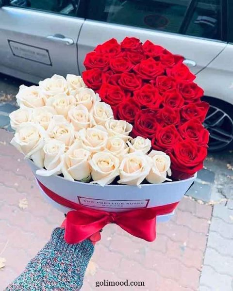  عکس پروفایل قلب وگل