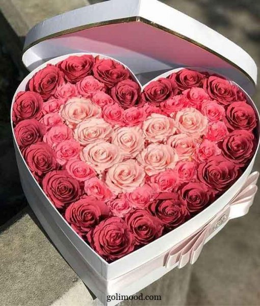  عکس پروفایل قلب وگل