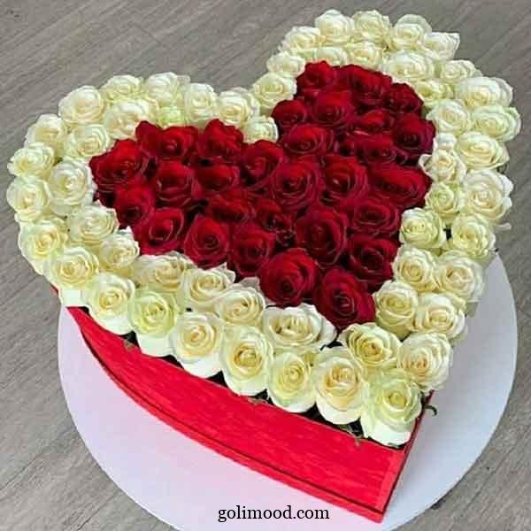  عکس پروفایل قلب وگل