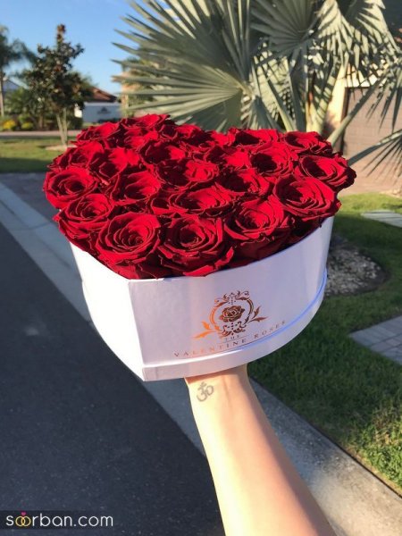  عکس گل و قلب فانتزی