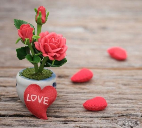  عکس گل و قلب عاشقانه جدید