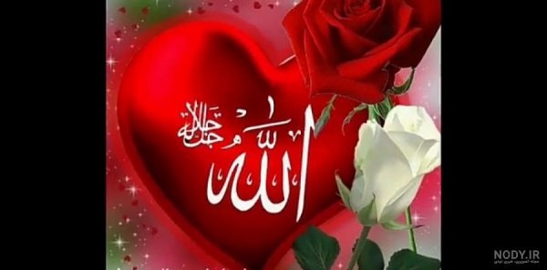  عکس گل و قلب عاشقانه جدید