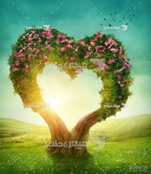  عکس گل و قلب عاشقانه جدید