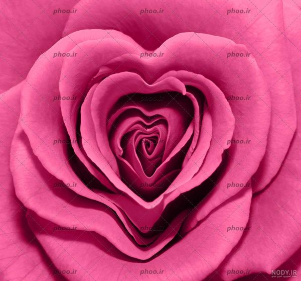  عکس گل و قلب عاشقانه جدید