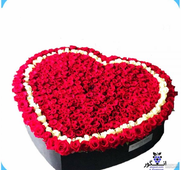  عکس گل و قلب عاشقانه جدید