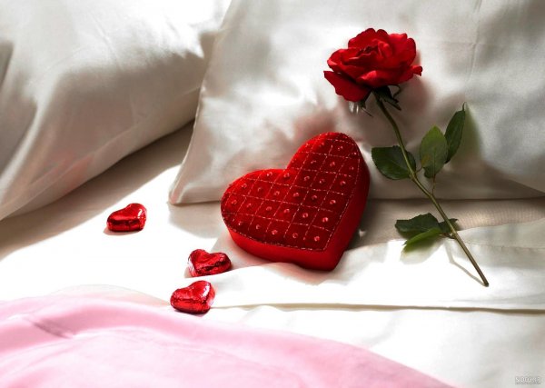  عکس گل و قلب عاشقانه جدید