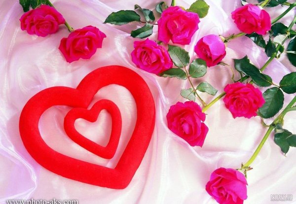  عکس گل و قلب عاشقانه جدید
