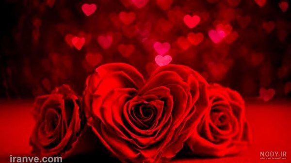  عکس گل و قلب عاشقانه جدید